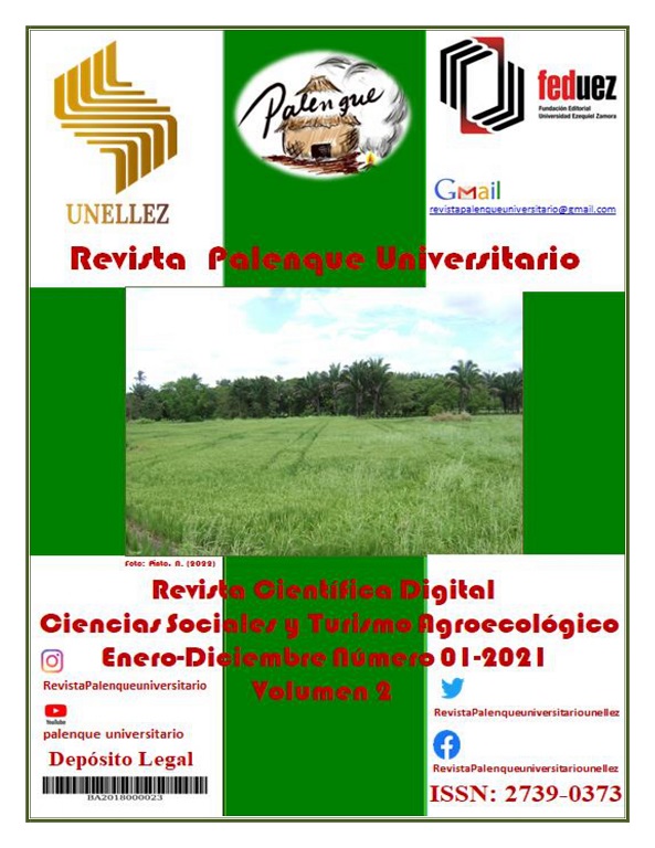 					Ver Vol. 2 Núm. 1 (2021): Revista Palenque Universitario
				
