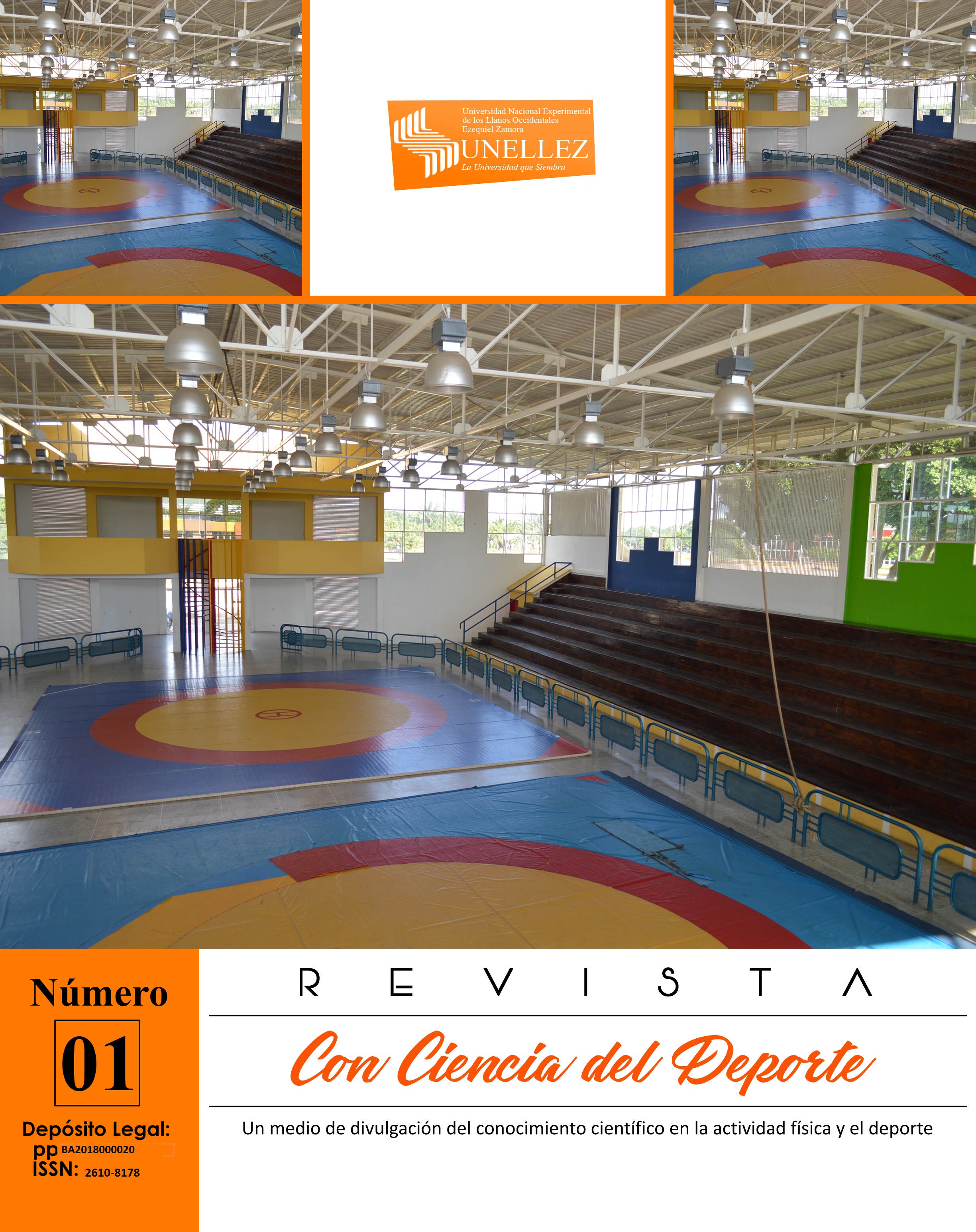 Revista Con - Ciencias del Deporte